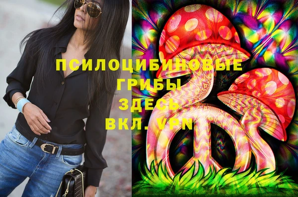 PSILOCYBIN Вяземский